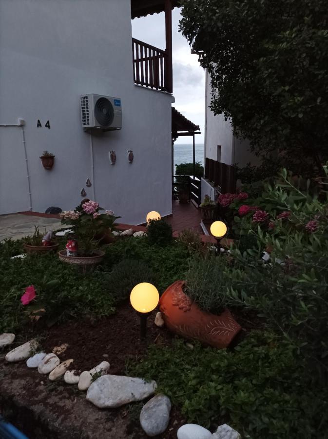 Agios Ioannis Alisaxni Seaside Studio公寓 外观 照片